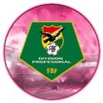 DIVISION PROFESIONAL