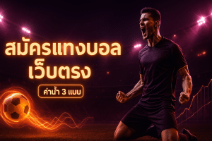 สมัครแทงบอล เว็บตรง