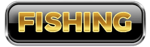 FISHING ONLINE