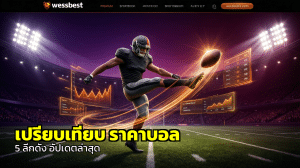 เปรียบเทียบ ราคาบอล